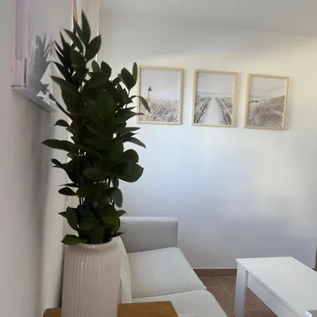Vv Estudio88 *